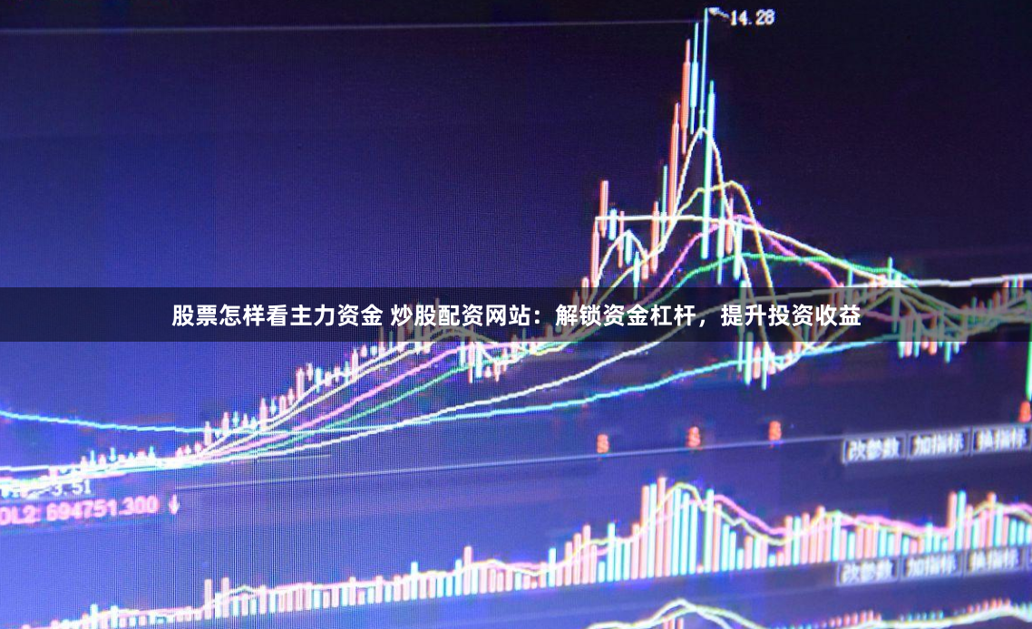 股票怎样看主力资金 炒股配资网站：解锁资金杠杆，提升投资收益